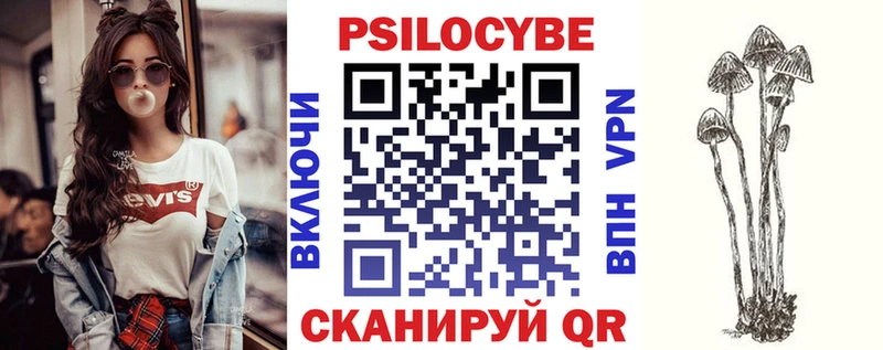 купить наркоту  Вязьма  Псилоцибиновые грибы прущие грибы 