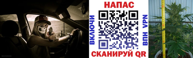 Бошки марихуана AK-47  Вязьма 